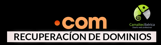 Recuperación de dominios
