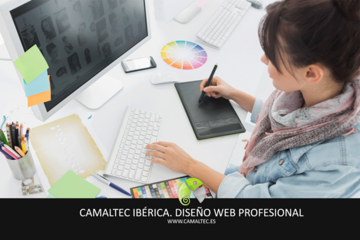 Diseno Web Profesional