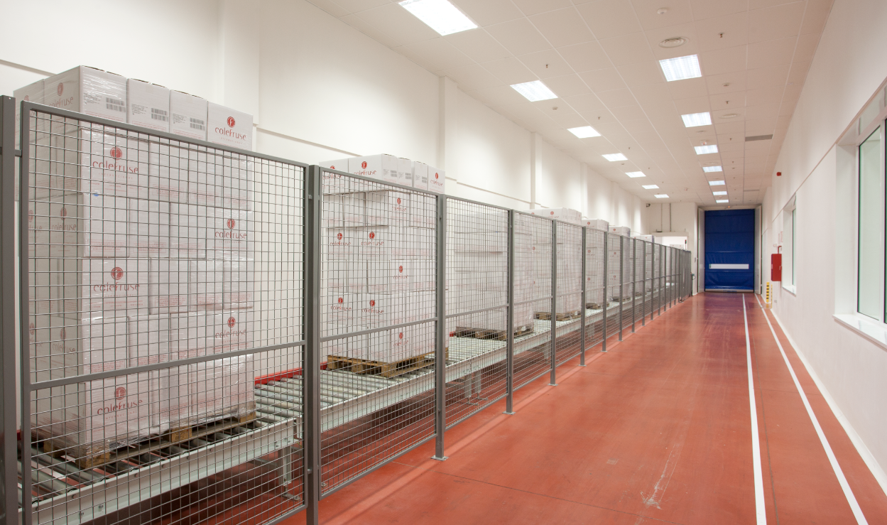 Colefruse Internacional — imagen 7 de empresa